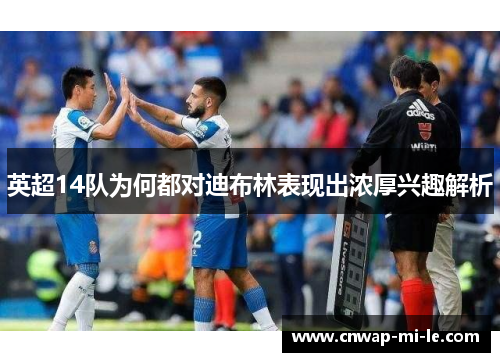 英超14队为何都对迪布林表现出浓厚兴趣解析