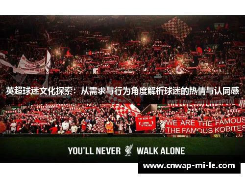 英超球迷文化探索：从需求与行为角度解析球迷的热情与认同感