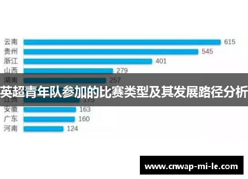 英超青年队参加的比赛类型及其发展路径分析