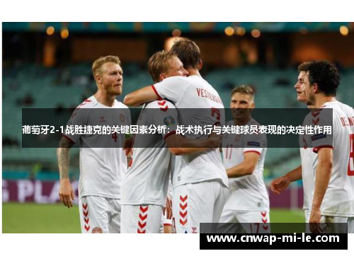 葡萄牙2-1战胜捷克的关键因素分析：战术执行与关键球员表现的决定性作用