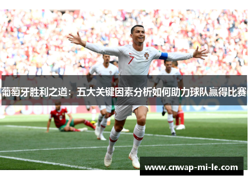 葡萄牙胜利之道：五大关键因素分析如何助力球队赢得比赛
