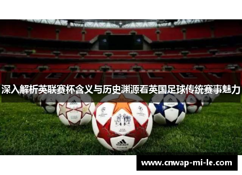 深入解析英联赛杯含义与历史渊源看英国足球传统赛事魅力