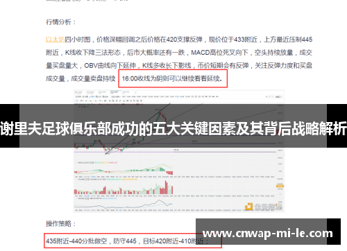 谢里夫足球俱乐部成功的五大关键因素及其背后战略解析 谢里夫足球俱乐部成功的五大关键因素及其背后战略解析