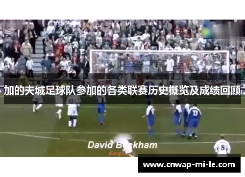 加的夫城足球队参加的各类联赛历史概览及成绩回顾