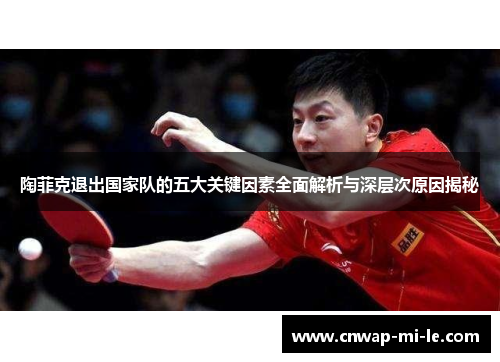 陶菲克退出国家队的五大关键因素全面解析与深层次原因揭秘