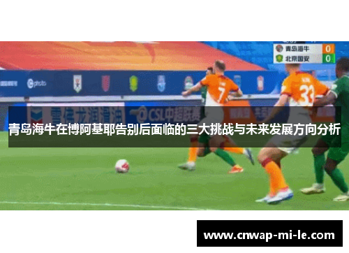 青岛海牛在博阿基耶告别后面临的三大挑战与未来发展方向分析 青岛海牛在博阿基耶告别后面临的三大挑战与未来发展方向分析