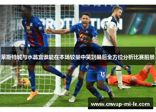 莱斯特城与水晶宫谁能在本场较量中笑到最后全方位分析比赛前景 莱斯特城与水晶宫谁能在本场较量中笑到最后全方位分析比赛前景