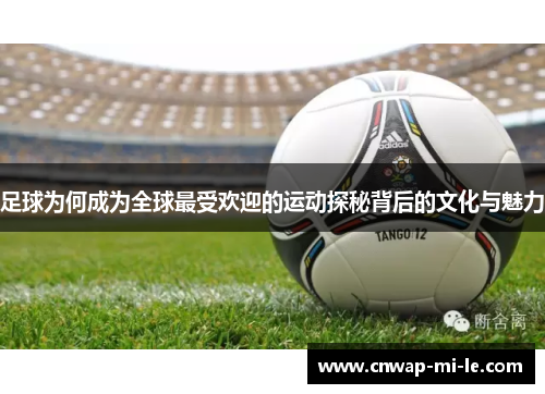 足球为何成为全球最受欢迎的运动探秘背后的文化与魅力