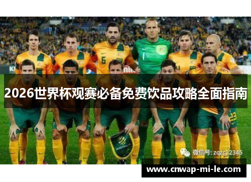 2026世界杯观赛必备免费饮品攻略全面指南