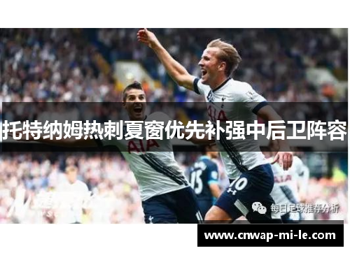 托特纳姆热刺夏窗优先补强中后卫阵容 托特纳姆热刺夏窗优先补强中后卫阵容