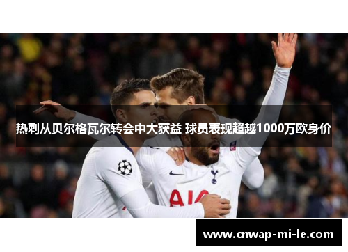 热刺从贝尔格瓦尔转会中大获益 球员表现超越1000万欧身价 热刺从贝尔格瓦尔转会中大获益 球员表现超越1000万欧身价