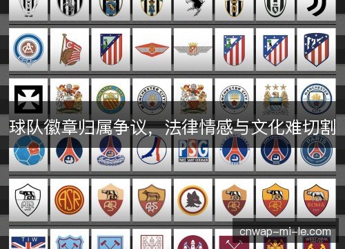 球队徽章归属争议，法律情感与文化难切割