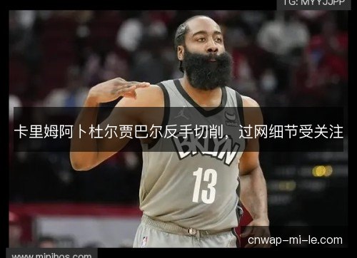 卡里姆阿卜杜尔贾巴尔反手切削，过网细节受关注